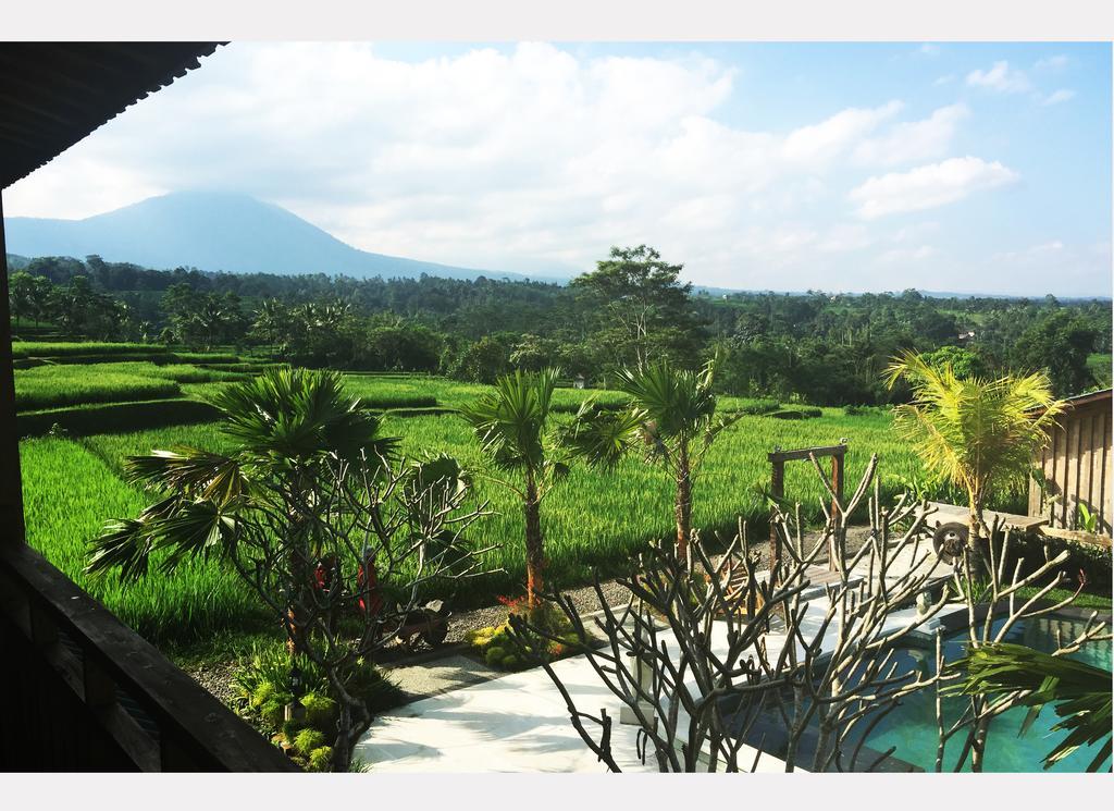 Ti Amo Bali Hotel Jatiluwih Buitenkant foto