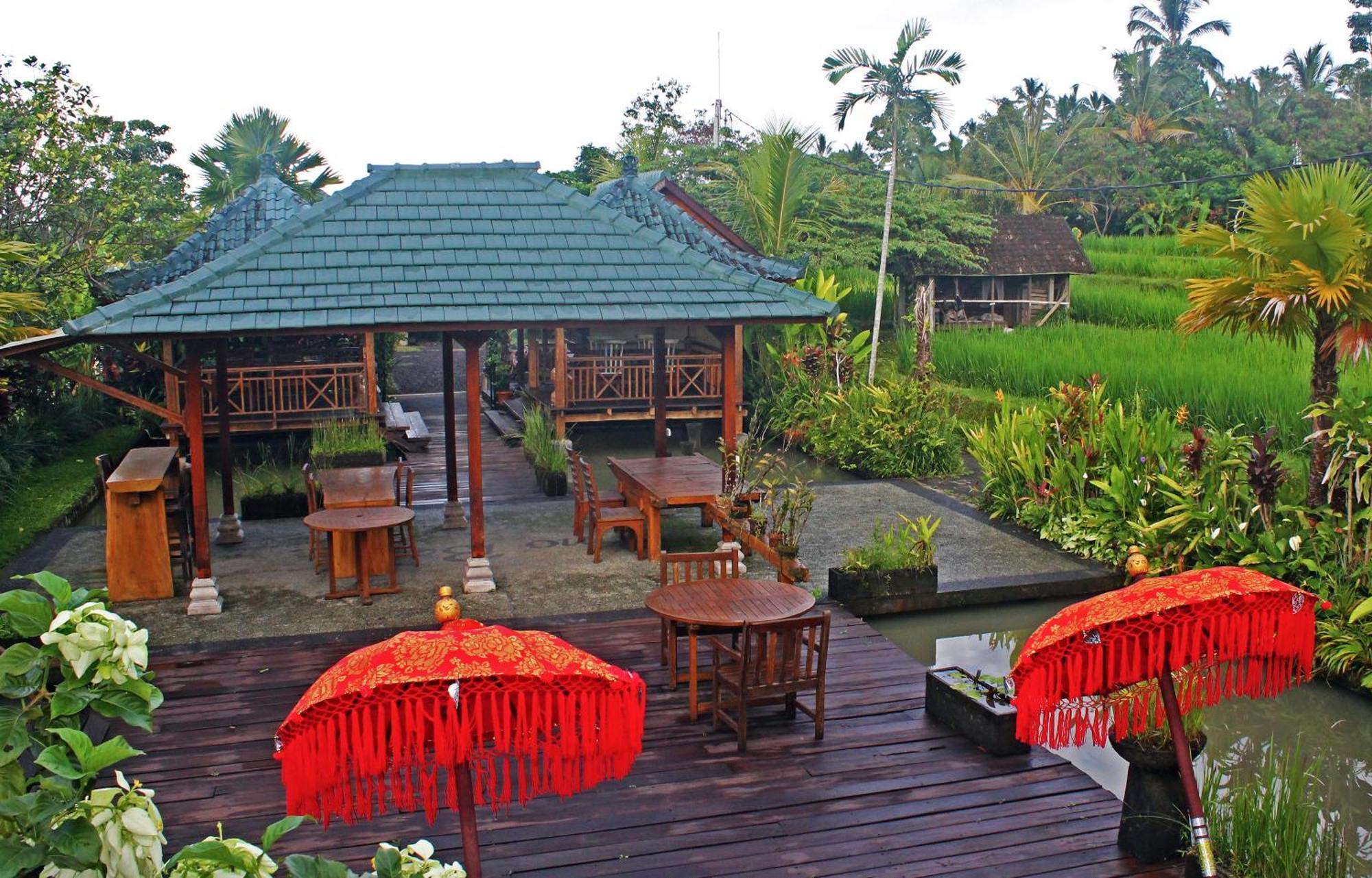 Ti Amo Bali Hotel Jatiluwih Buitenkant foto