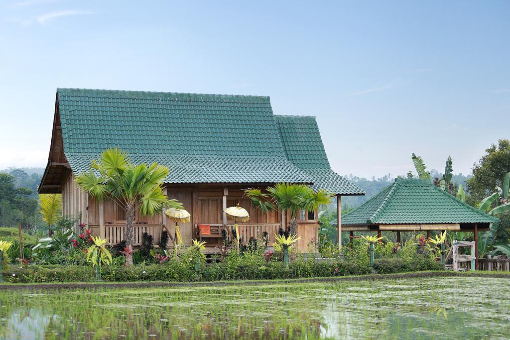 Ti Amo Bali Hotel Jatiluwih Buitenkant foto