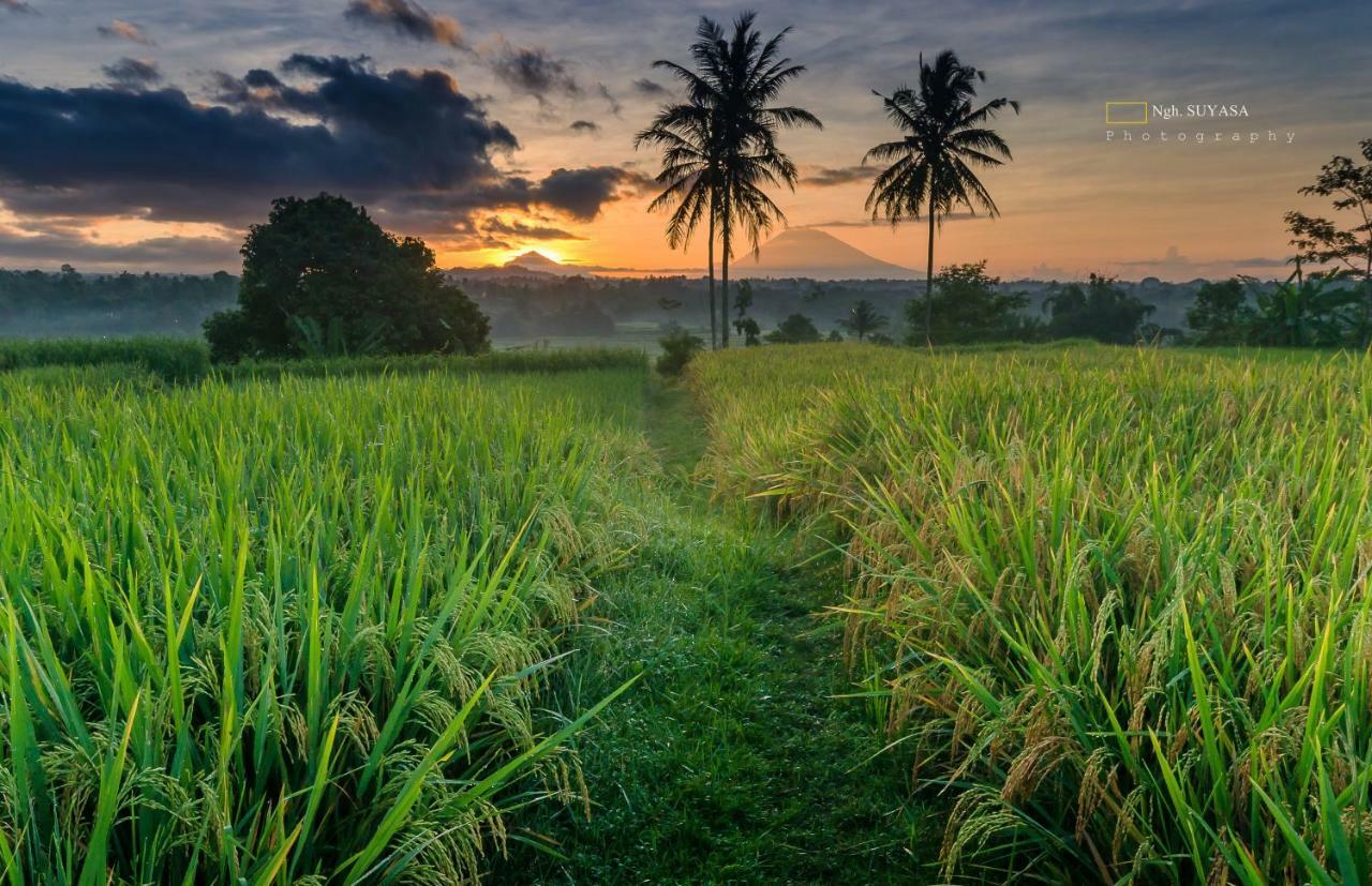 Ti Amo Bali Hotel Jatiluwih Buitenkant foto