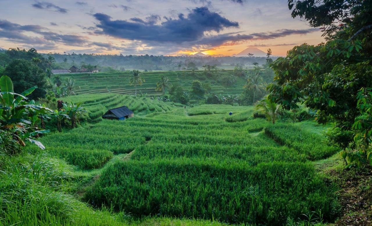 Ti Amo Bali Hotel Jatiluwih Buitenkant foto