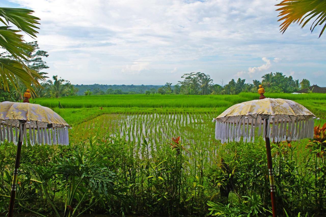 Ti Amo Bali Hotel Jatiluwih Buitenkant foto
